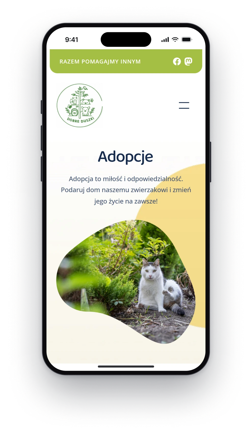 The adoption page on a phone, the heading Adoptions, a line about love and responsibility and a photograph of a white and grey cat in a garden