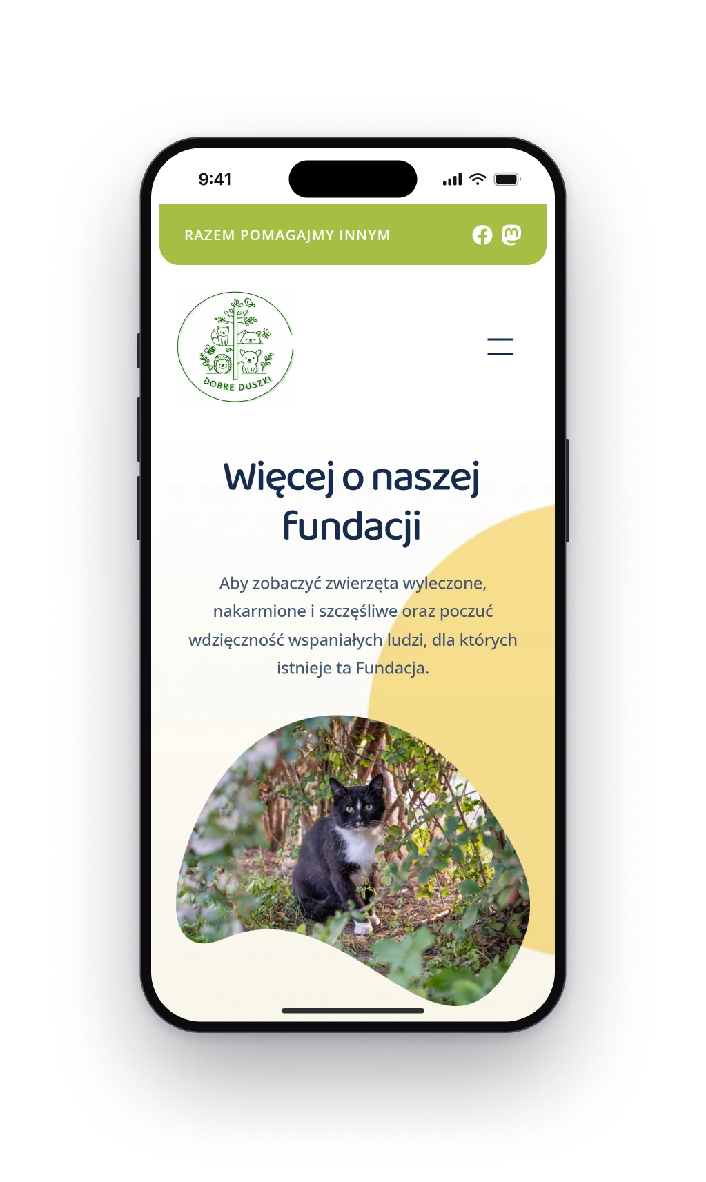 The page about the foundation on a phone, the green bar, the logo, the heading More about our foundation and a photograph of a black and white cat cut into a soft shape on a yellow background